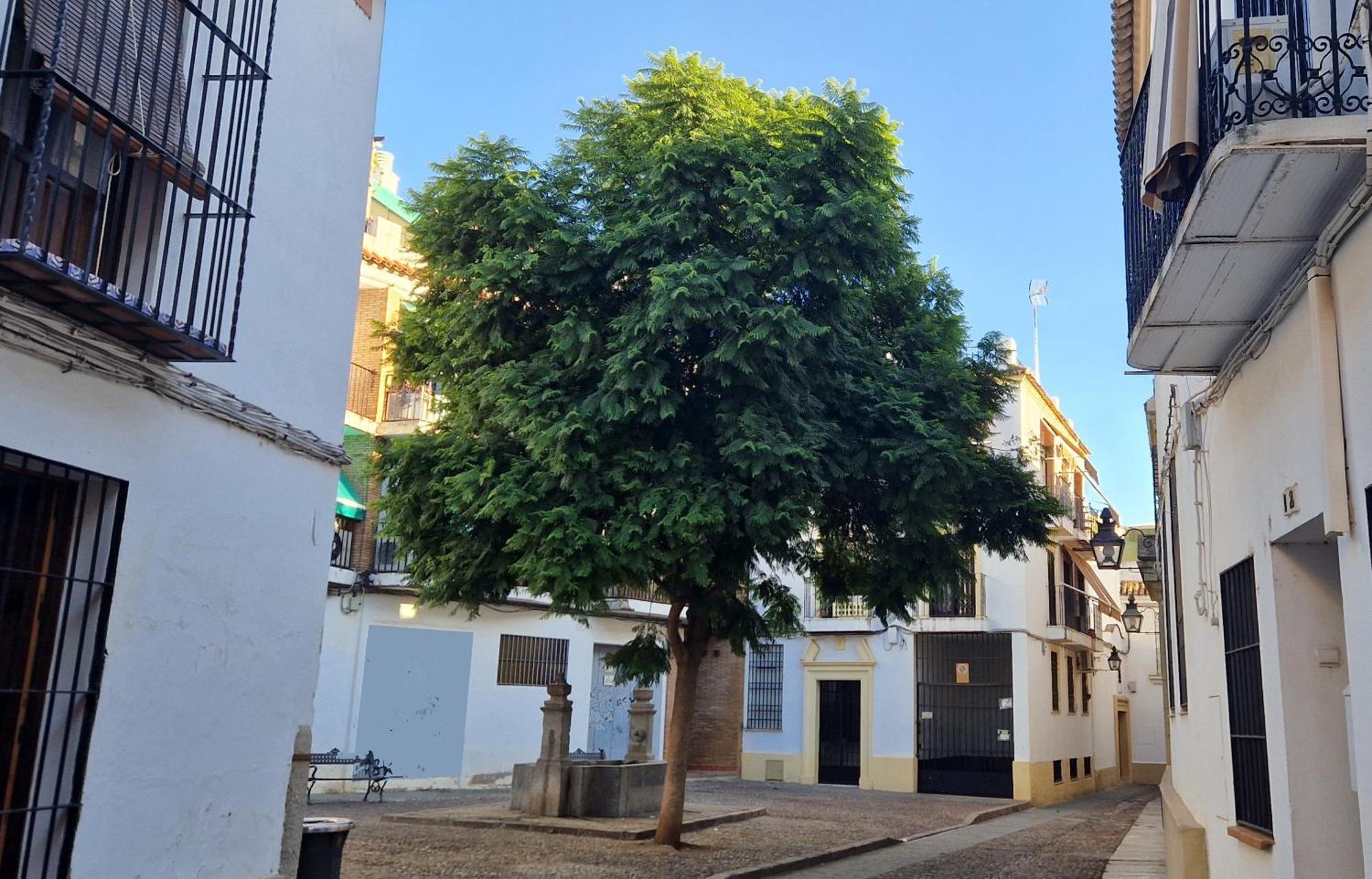 Terraza De La Axerquia Apartment Cordoba Exterior photo
